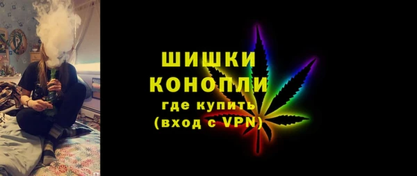 ГАЛЛЮЦИНОГЕННЫЕ ГРИБЫ Новый Уренгой