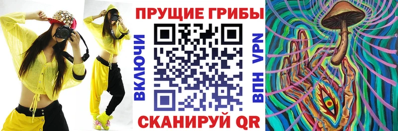 Псилоцибиновые грибы Magic Shrooms  Заволжск 