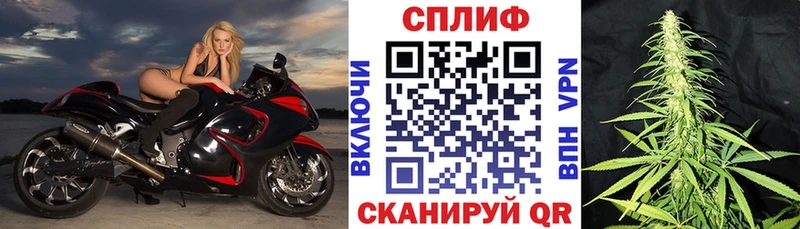 как найти наркотики  Заволжск  Каннабис ГИДРОПОН 